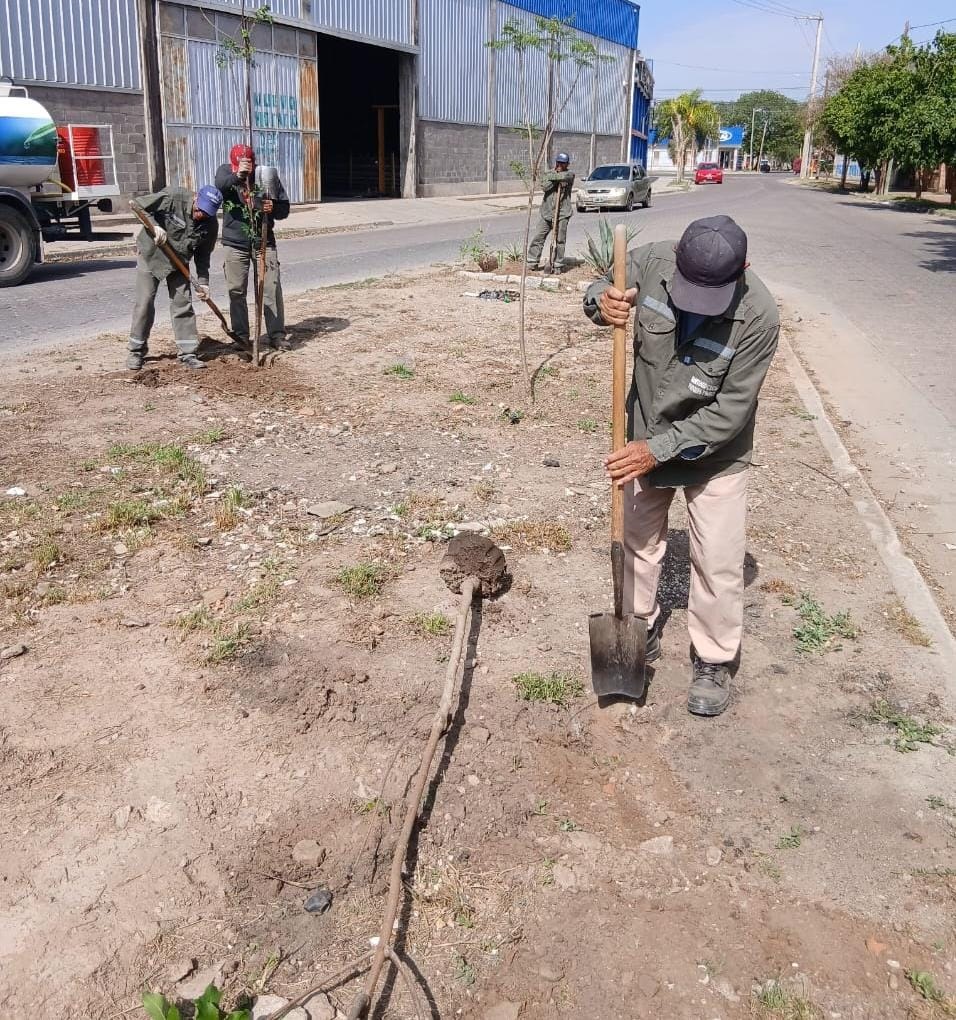 La Municipalidad de la Capital inició la plantación de más de 3300 árboles en el barrio Los Inmigrantes